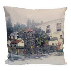Academy Gates Throw Pillow